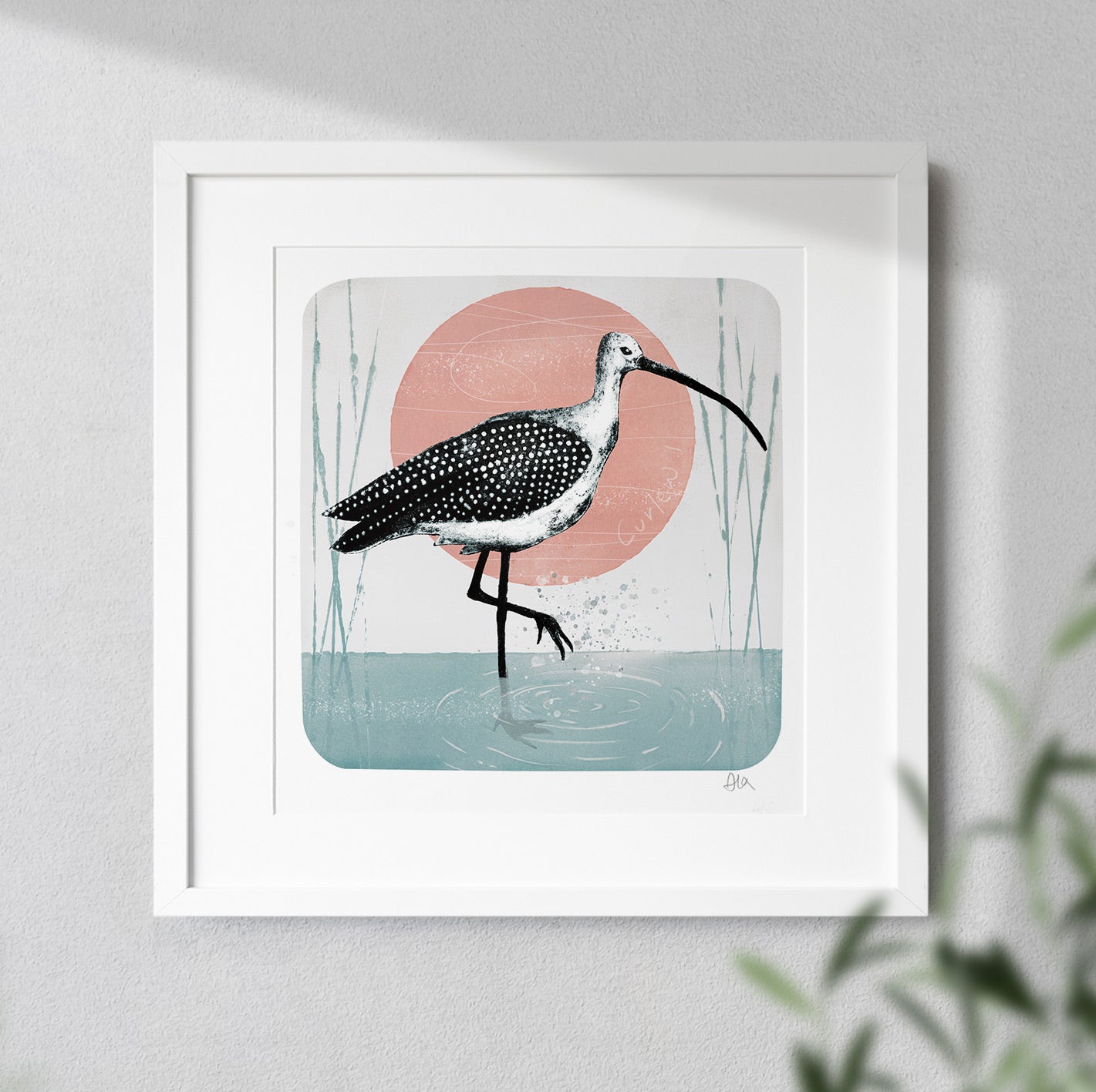 Curlews and Collagraphs: Capturing the Waders of Rutland Water & Eyebrook Reservoir