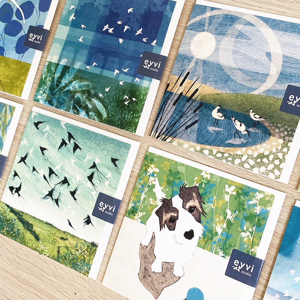 Introducing the New Eyvi Greetings Card Collection