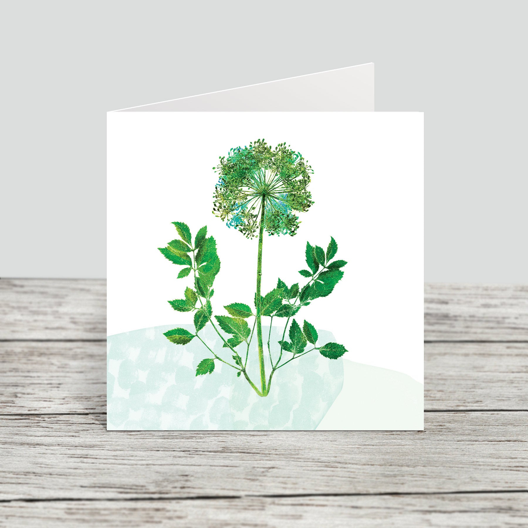 Botanical greeting cards - pack of 6