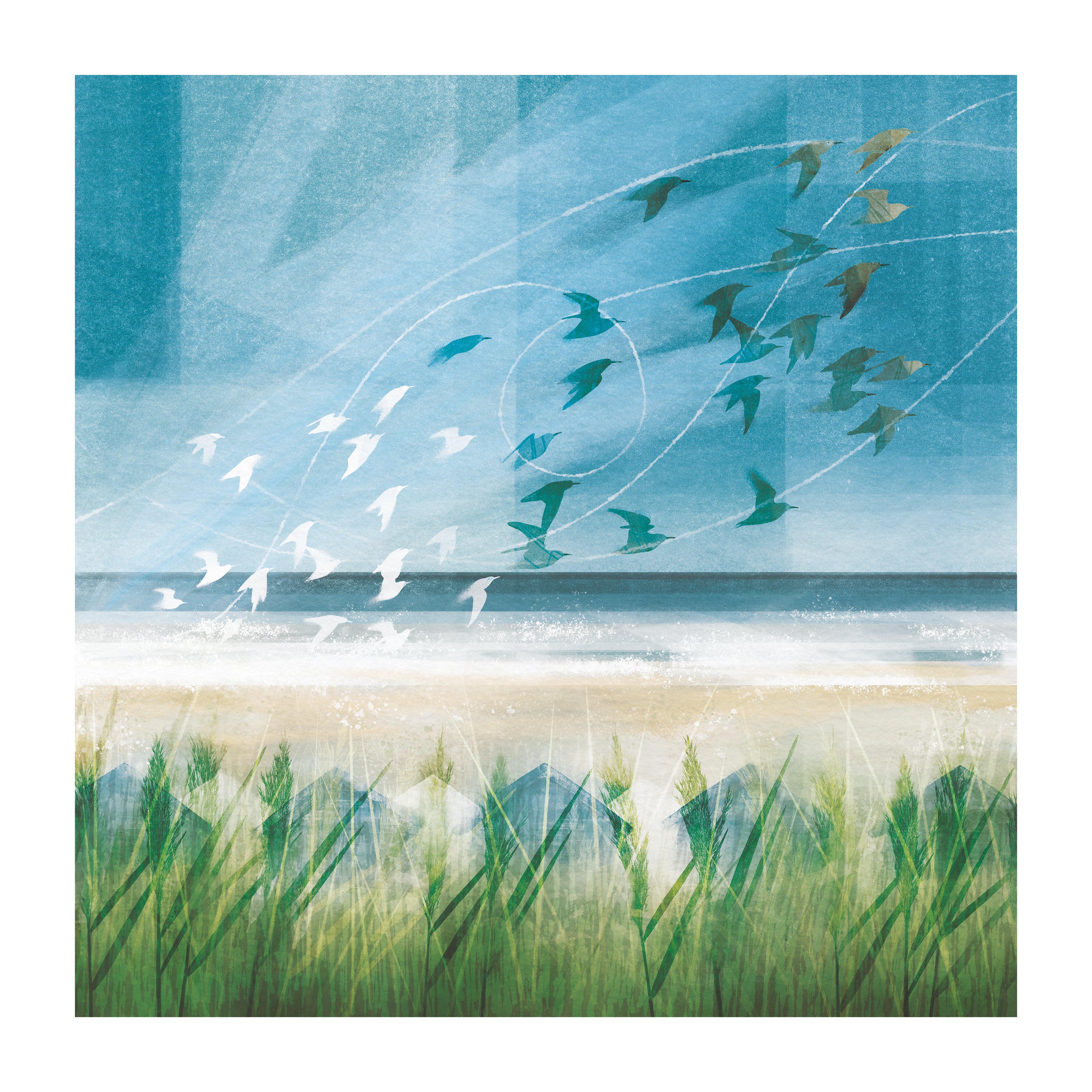 Brancaster Knots Print - 60cm