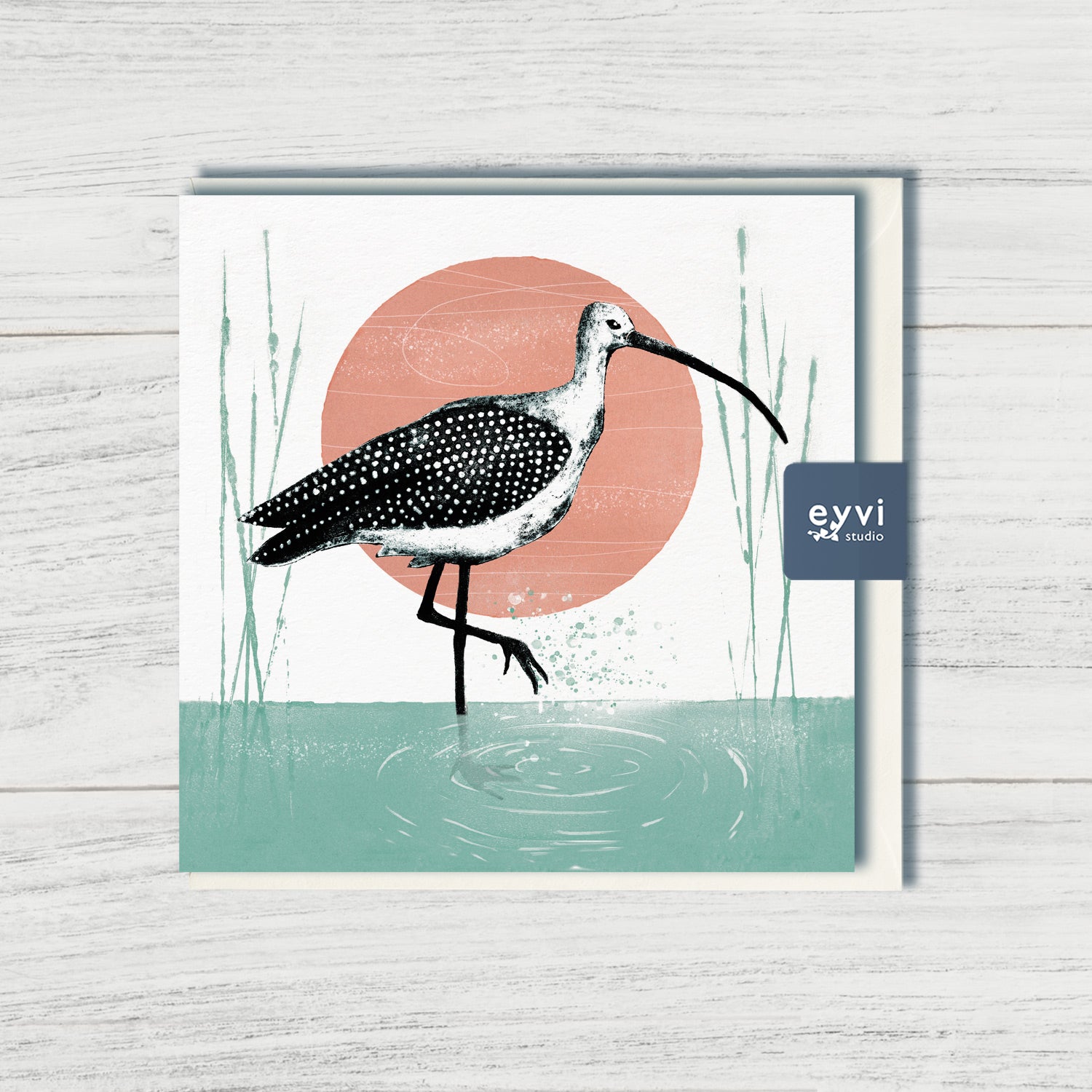 Curlew 1 - Bird Greetings Card