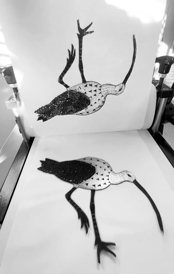 Curlew III Bird Giclée Print