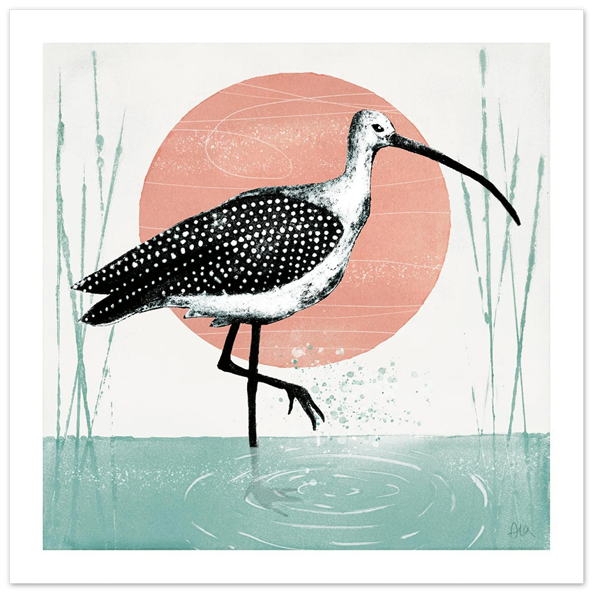 Curlew I Bird Giclée Print