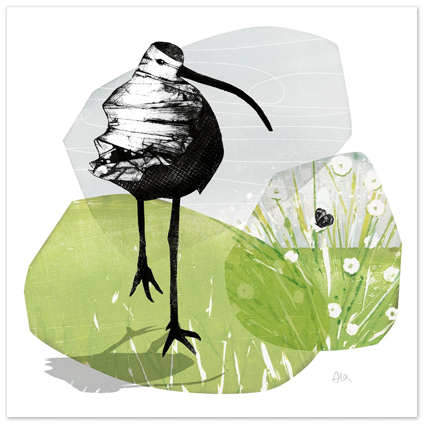 Curlew II Bird Giclée Print