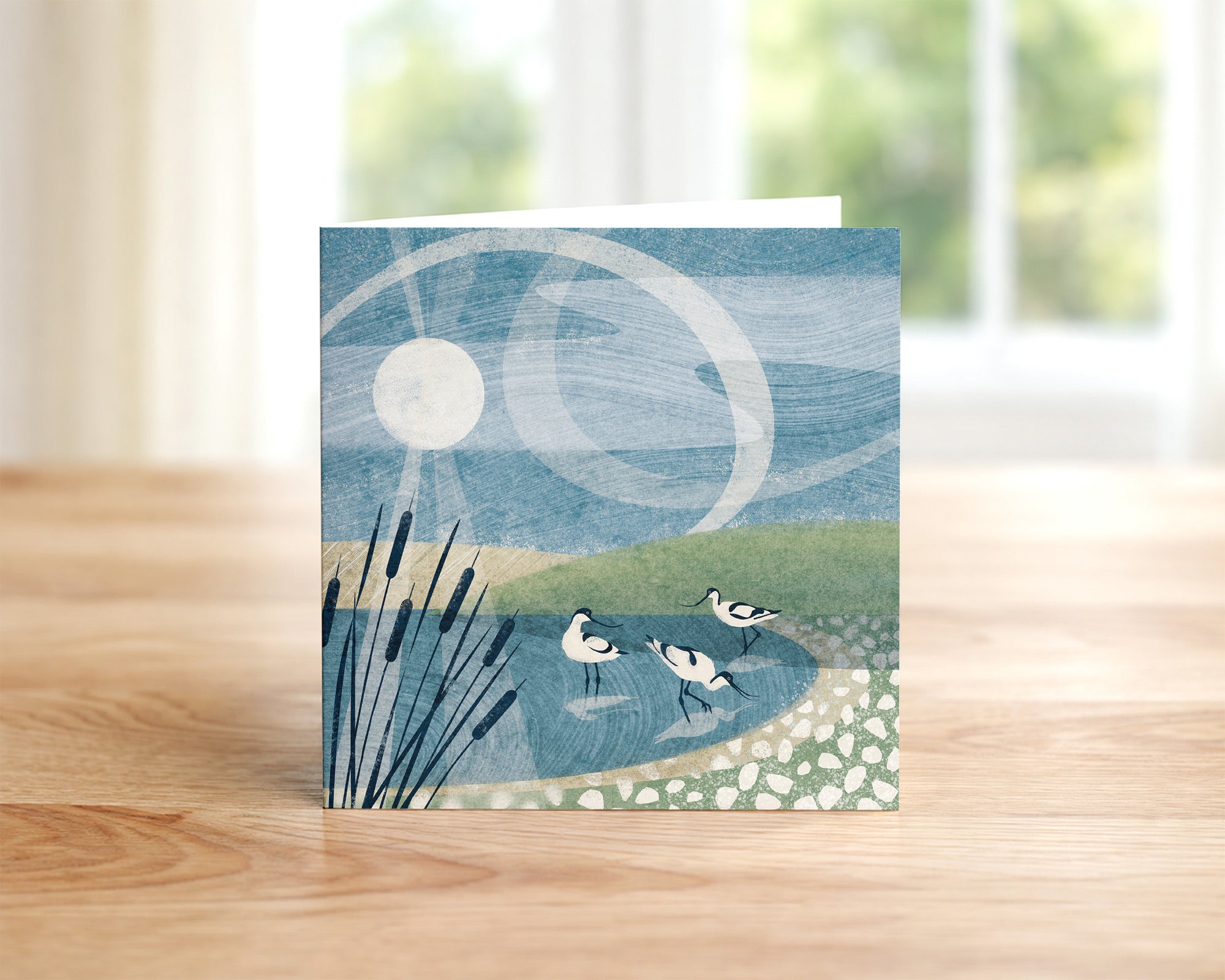 Morning Sweep - Avocets Greetings Card