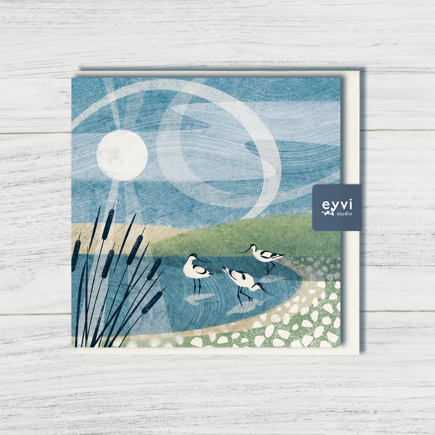 Morning Sweep - Avocets Greetings Card