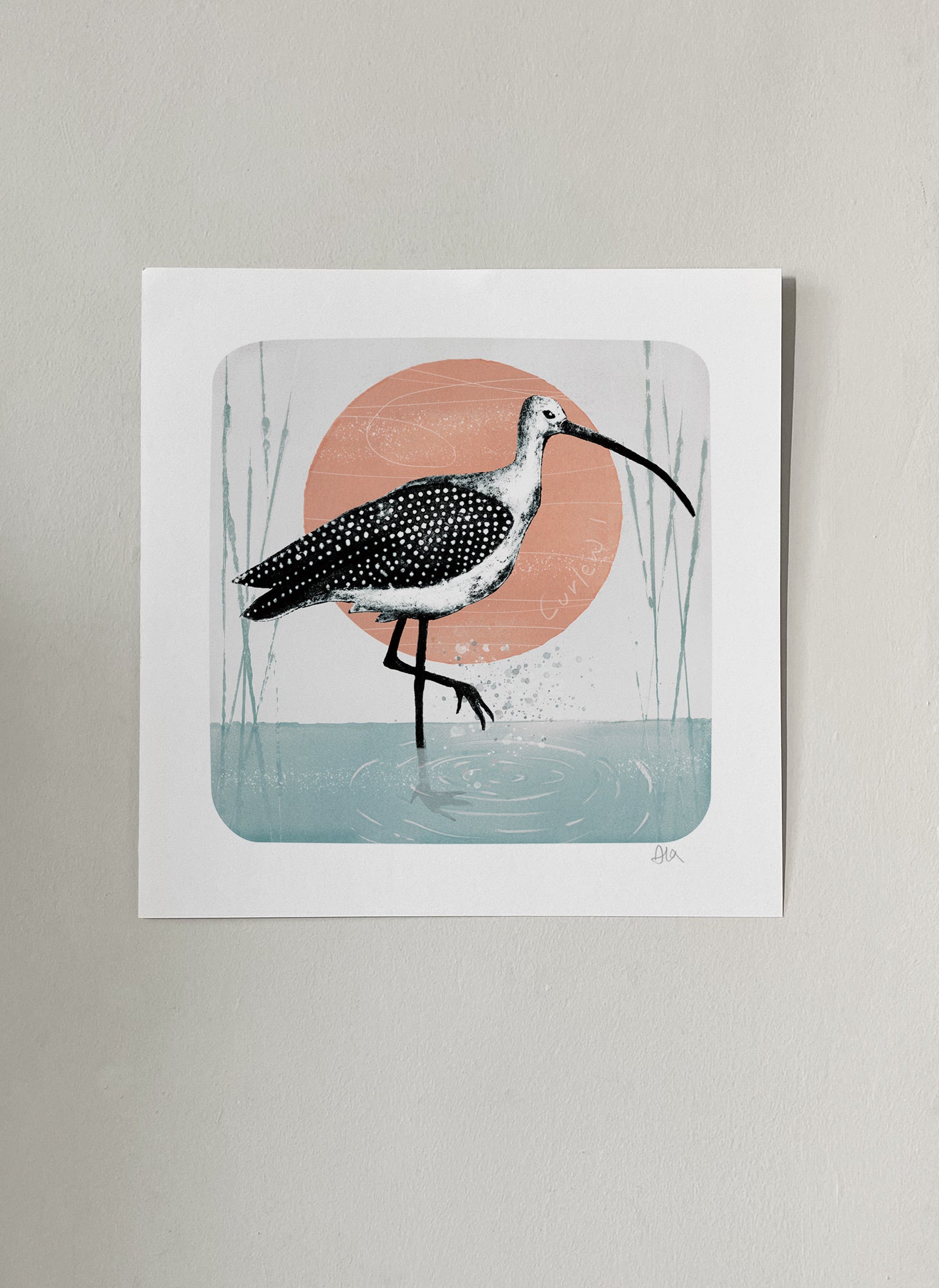 Curlew I Bird giclée art print