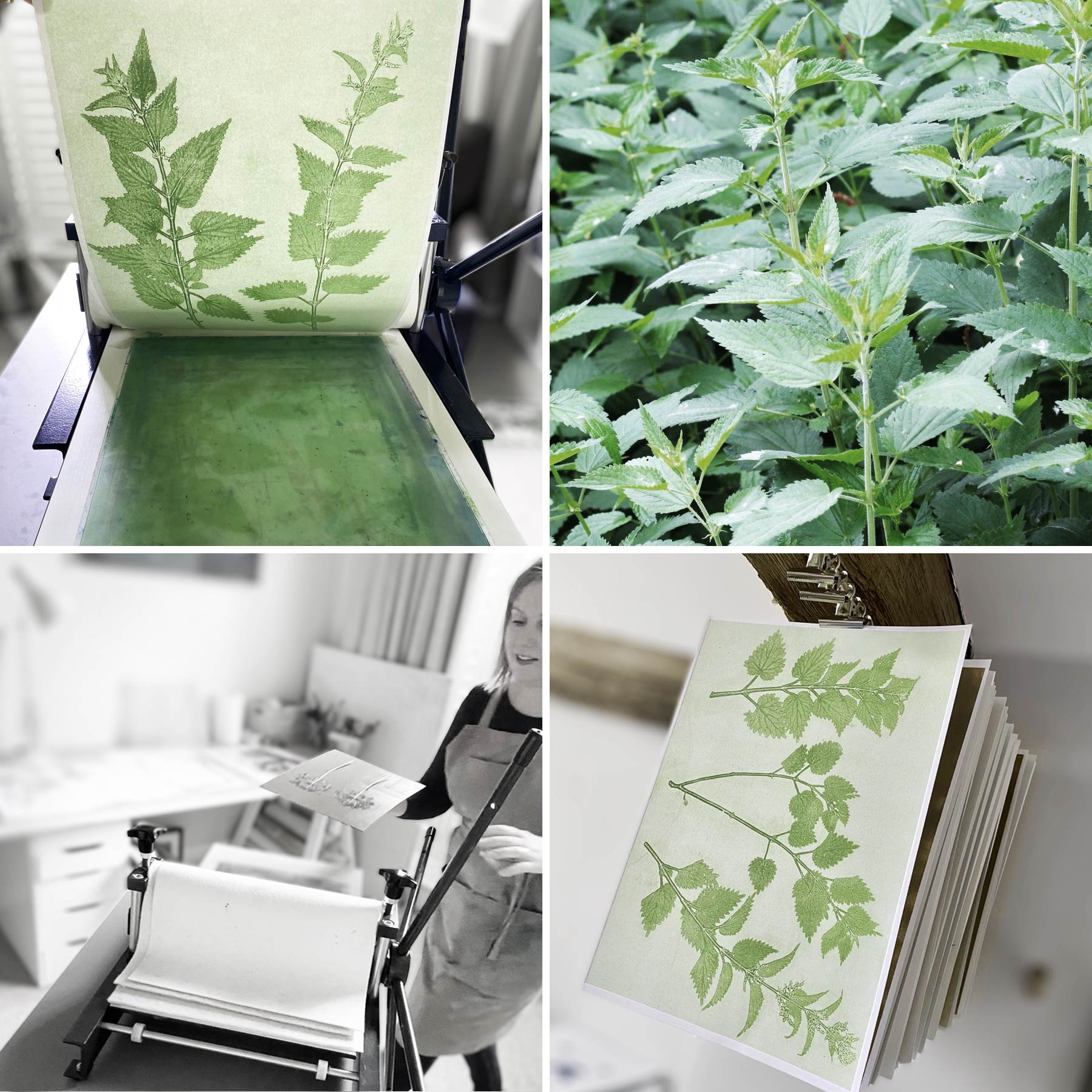 Wildflowers I Print