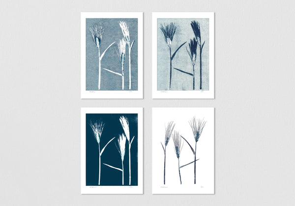 Set of 4 Wild Barley Prints