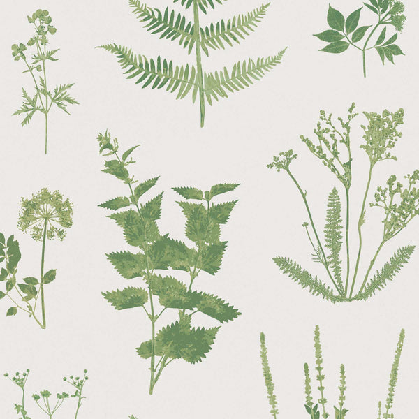 Matilda Botanical Wallpaper