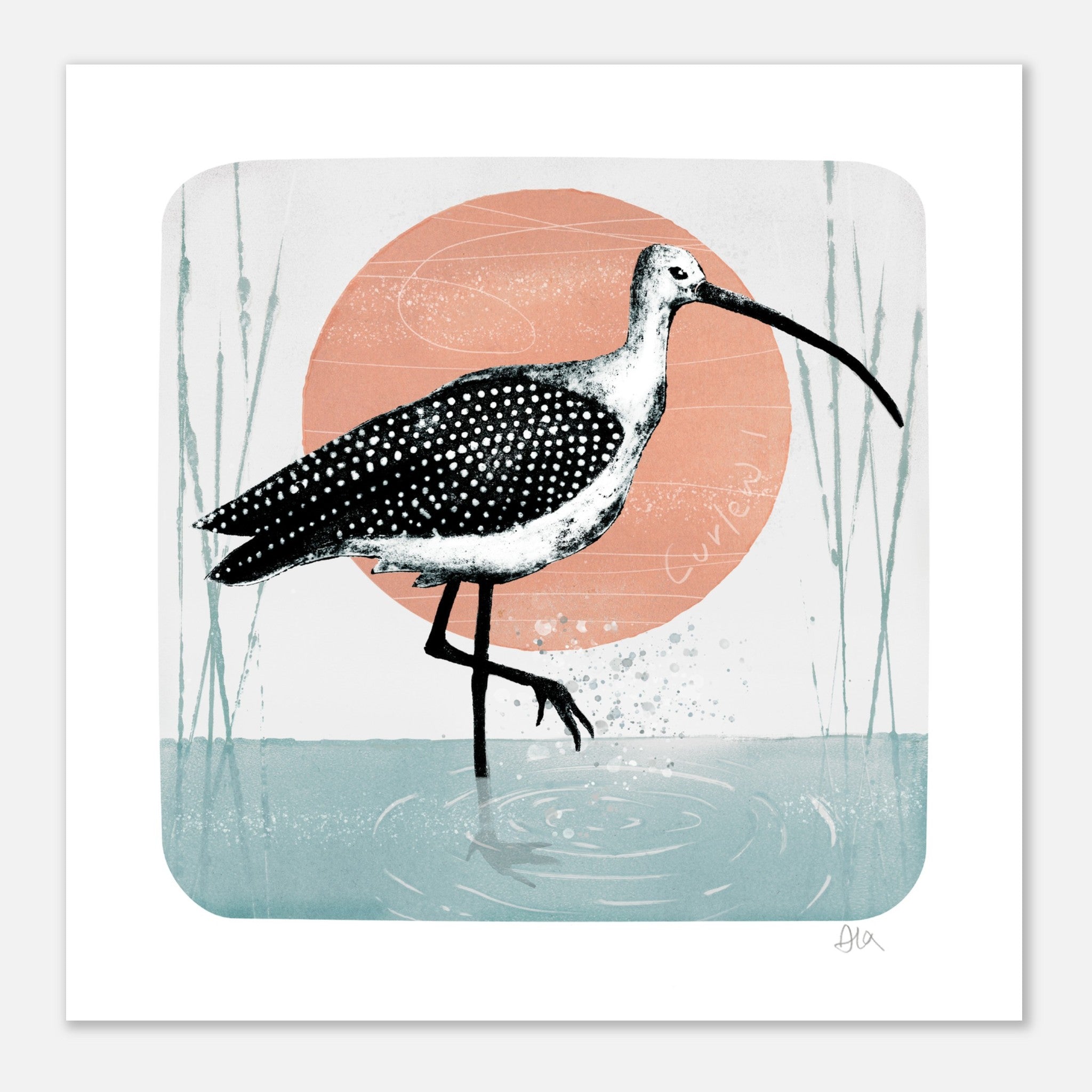Eyvi Studio Curlew bird print