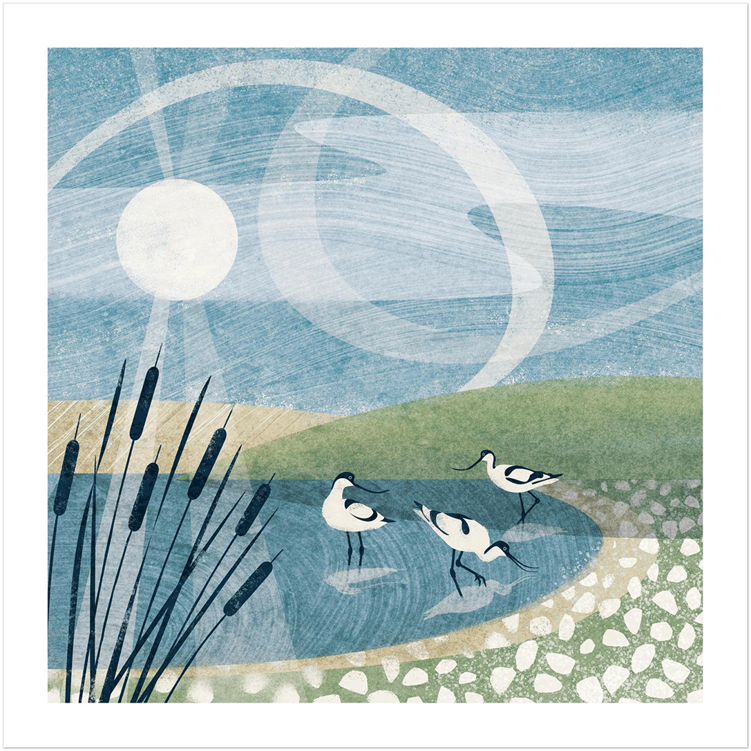 'Avocets' Giclée Art Print