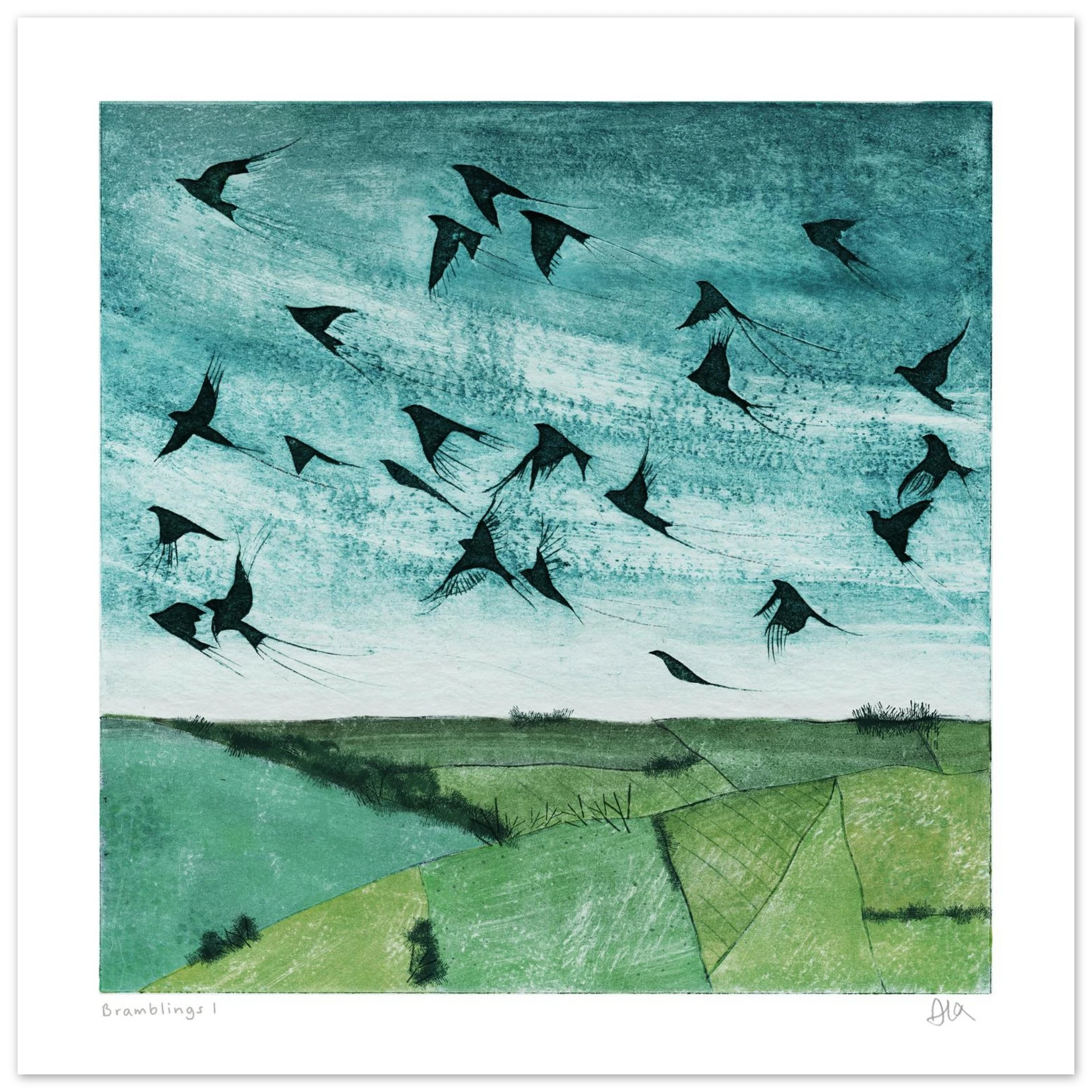 Bramblings bird print