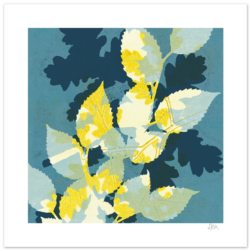 Canopy II print