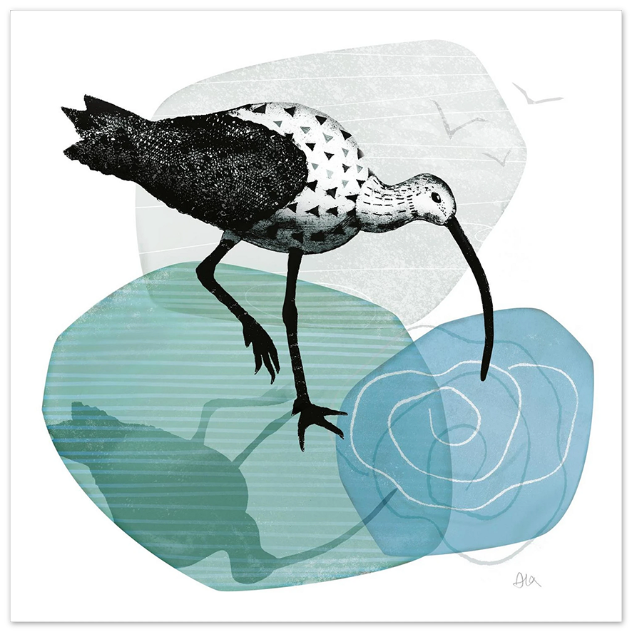 Curlew III Bird Giclée Print