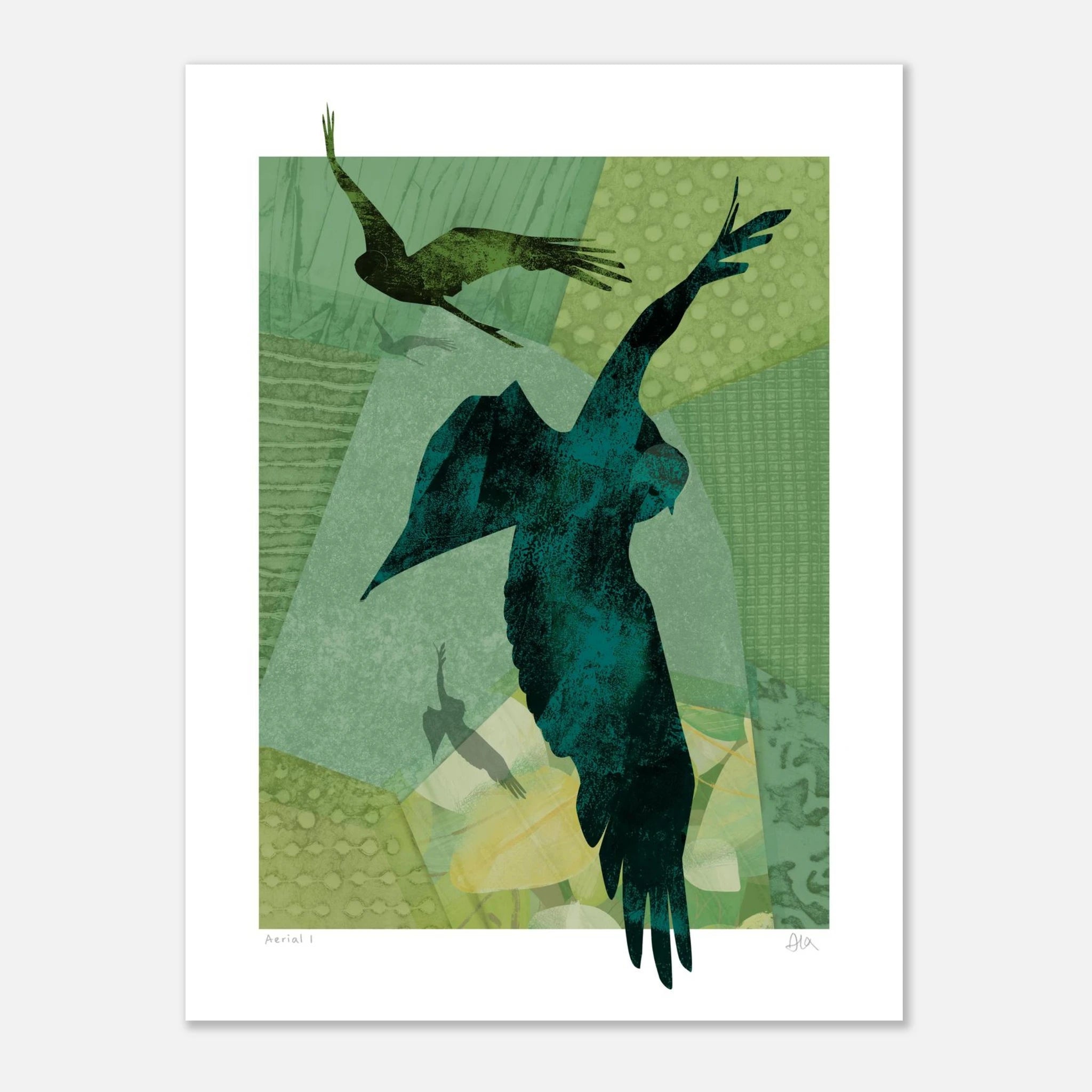 graphic bird art print poster