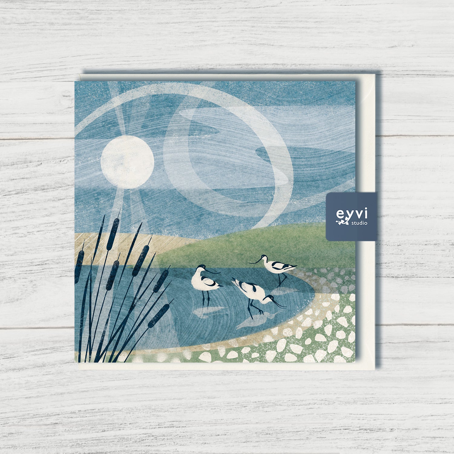 Morning Sweep - Avocets Greetings Card