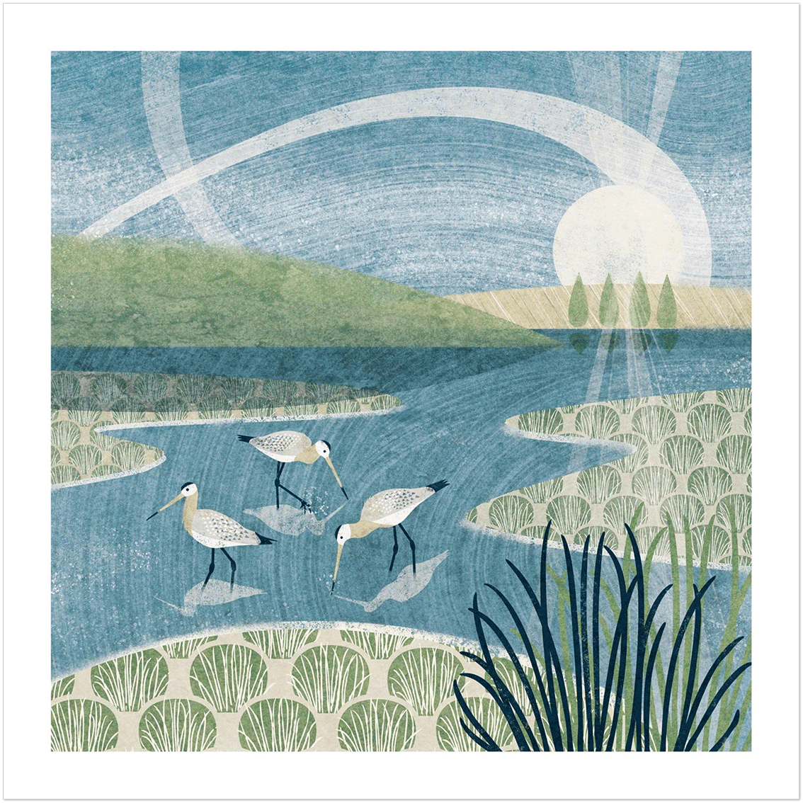'Amongst The Tussock' Giclée Art Print