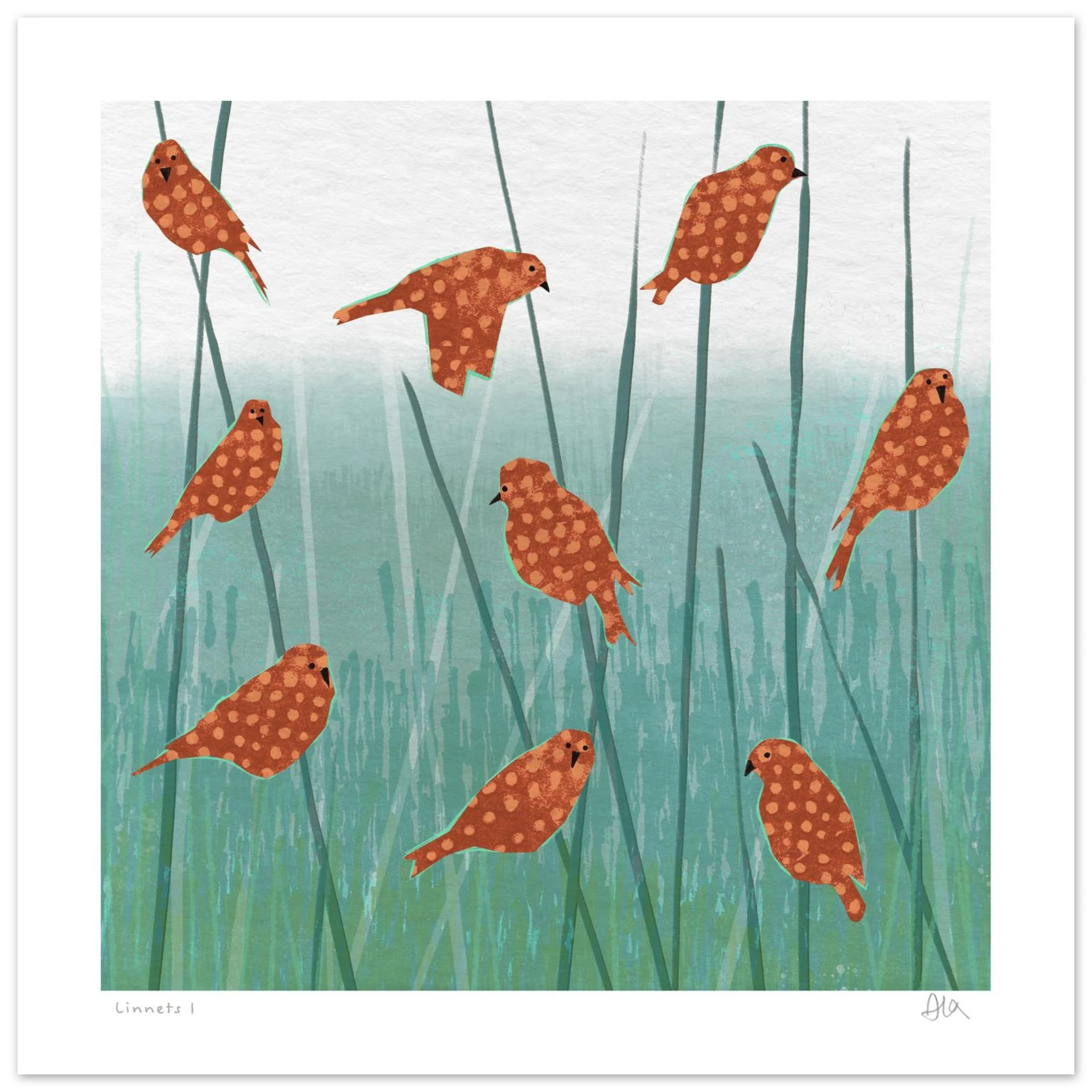 eyvi studio linnets fine art bird print