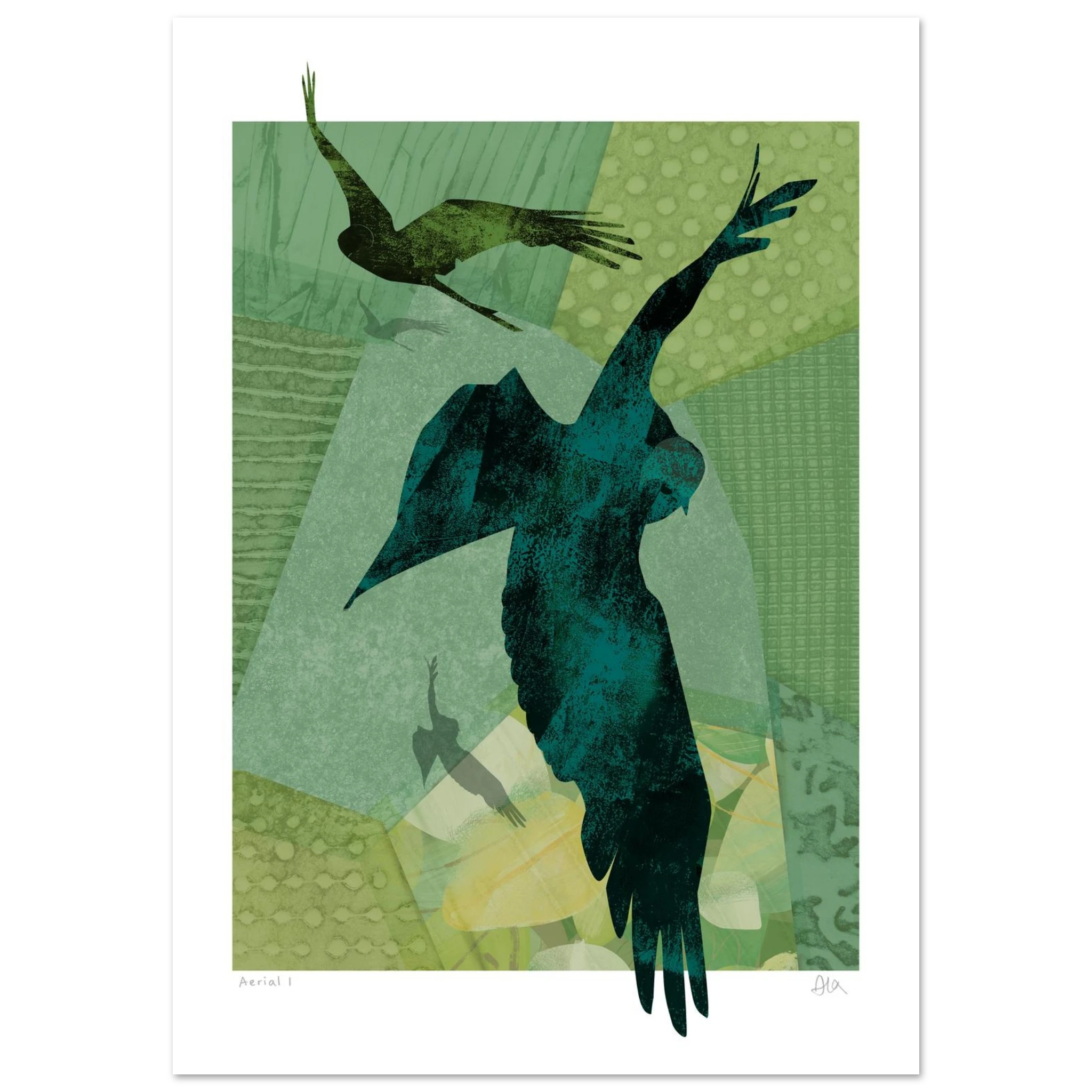 eyvi studio red kite art print flying birds