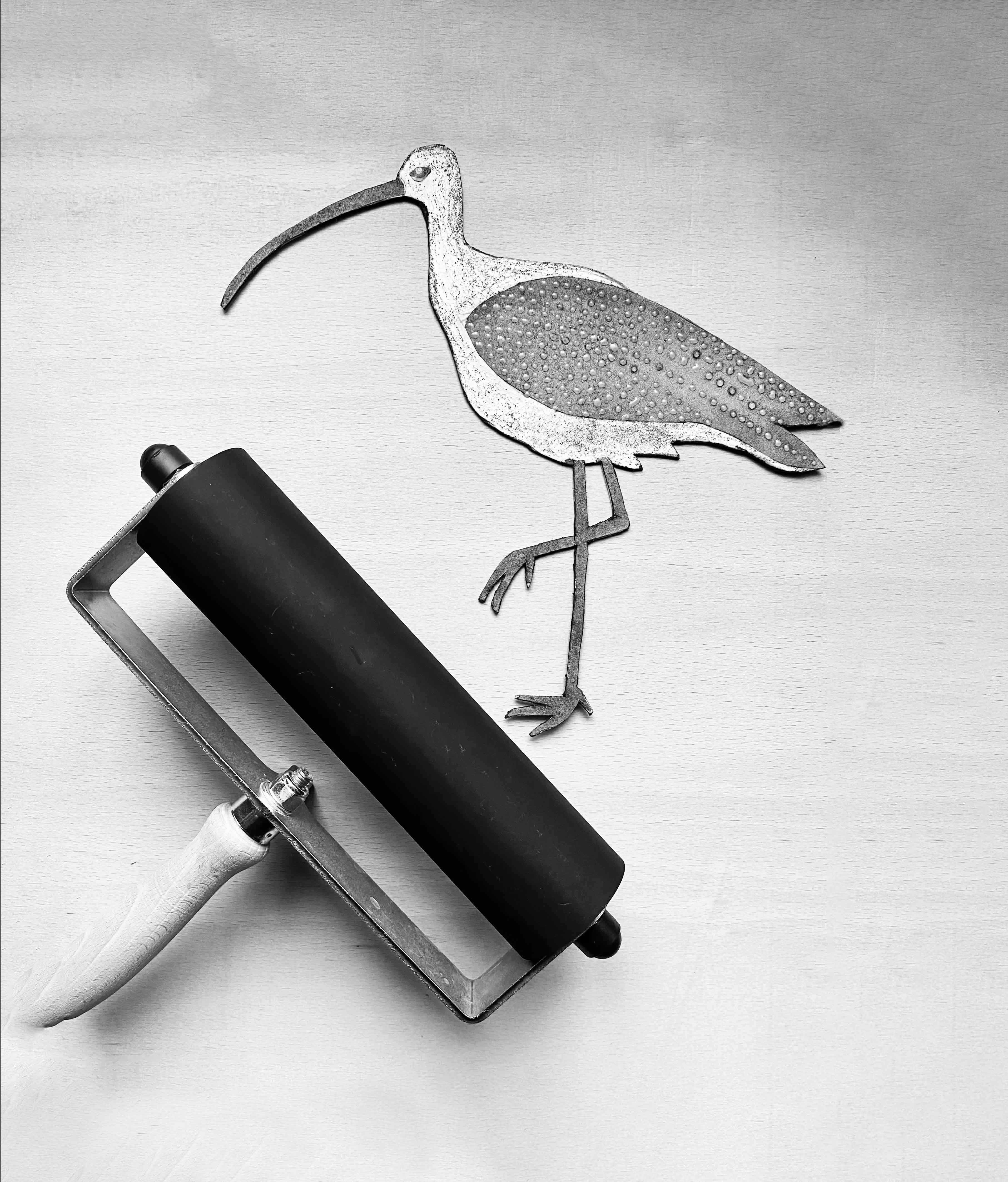 Curlew I Bird giclée art print